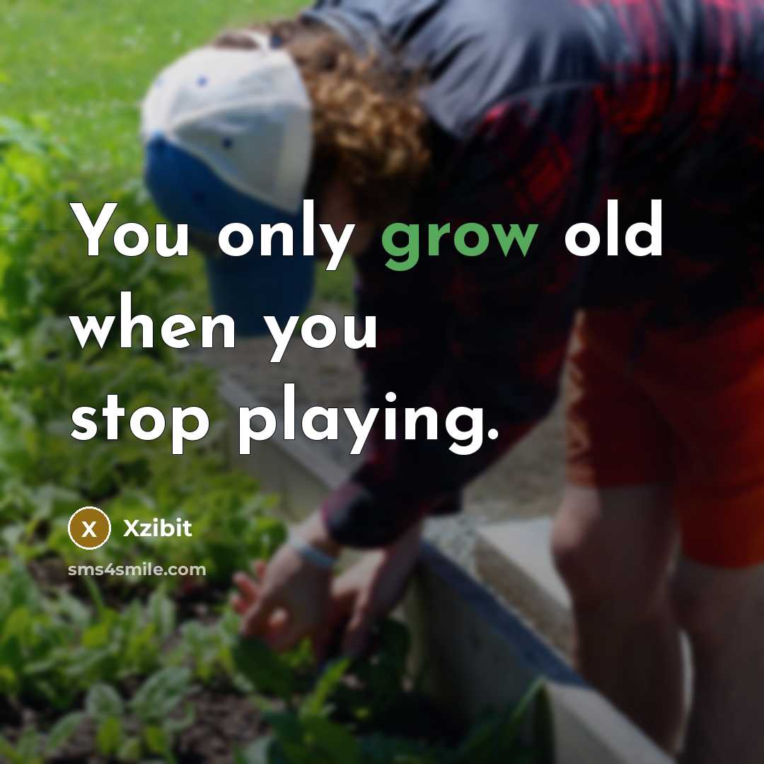 “You only grow old when you stop playing.…” quote by Xzibit