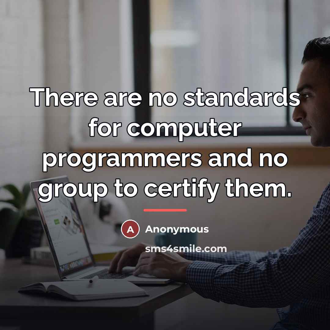 “There are no standards for computer programmers and no group…” quote by Anonymous