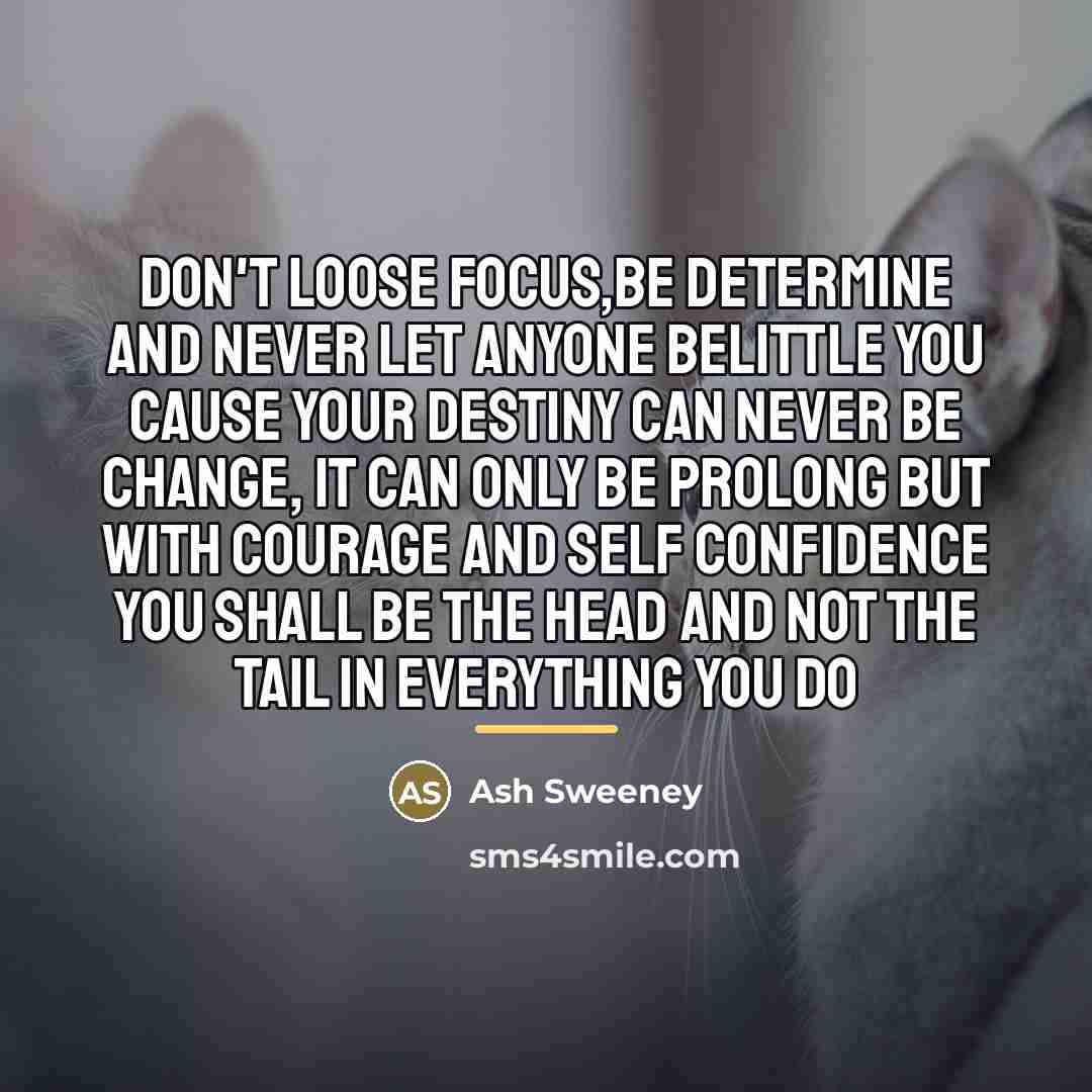 “Don't loose Focus,Be determine and never let anyone Belittle you…” quote by Ash Sweeney