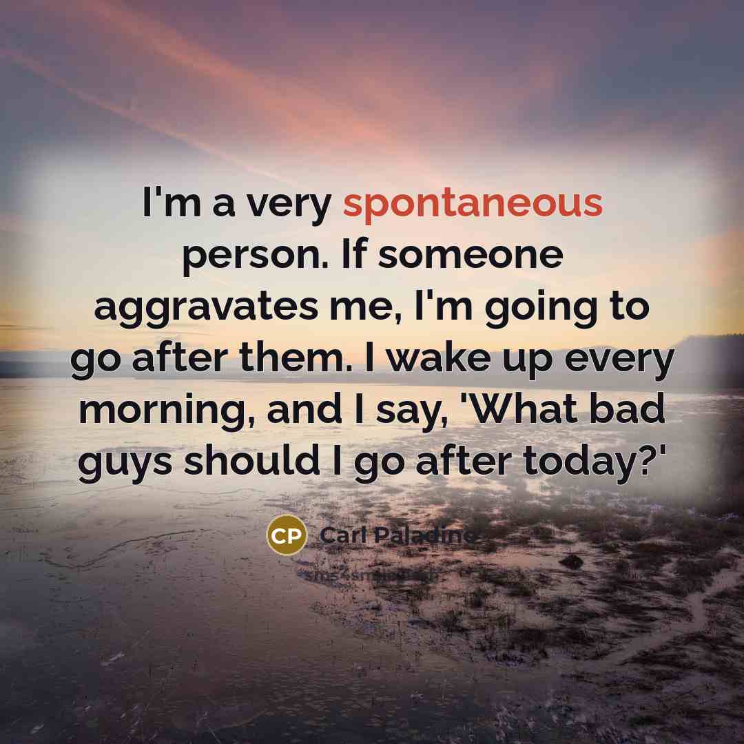 “I'm a very spontaneous person. If someone aggravates me, I'm…” quote by Carl Paladino