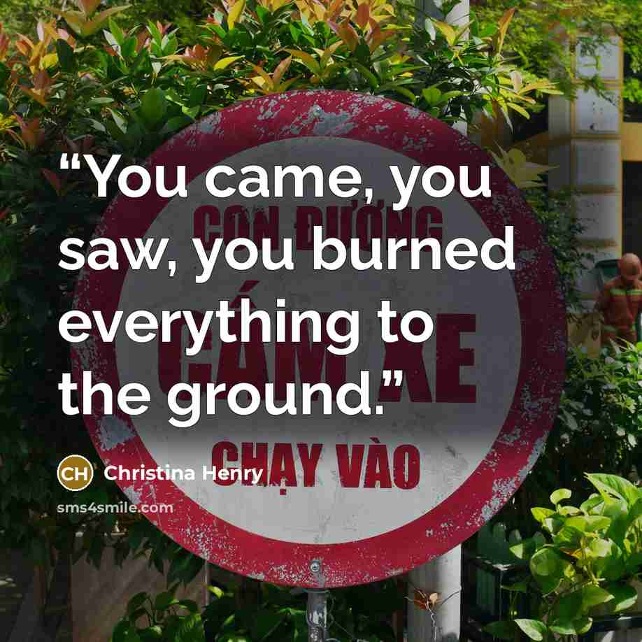 “You came, you saw, you burned everything to the ground.” quote by Christina Henry