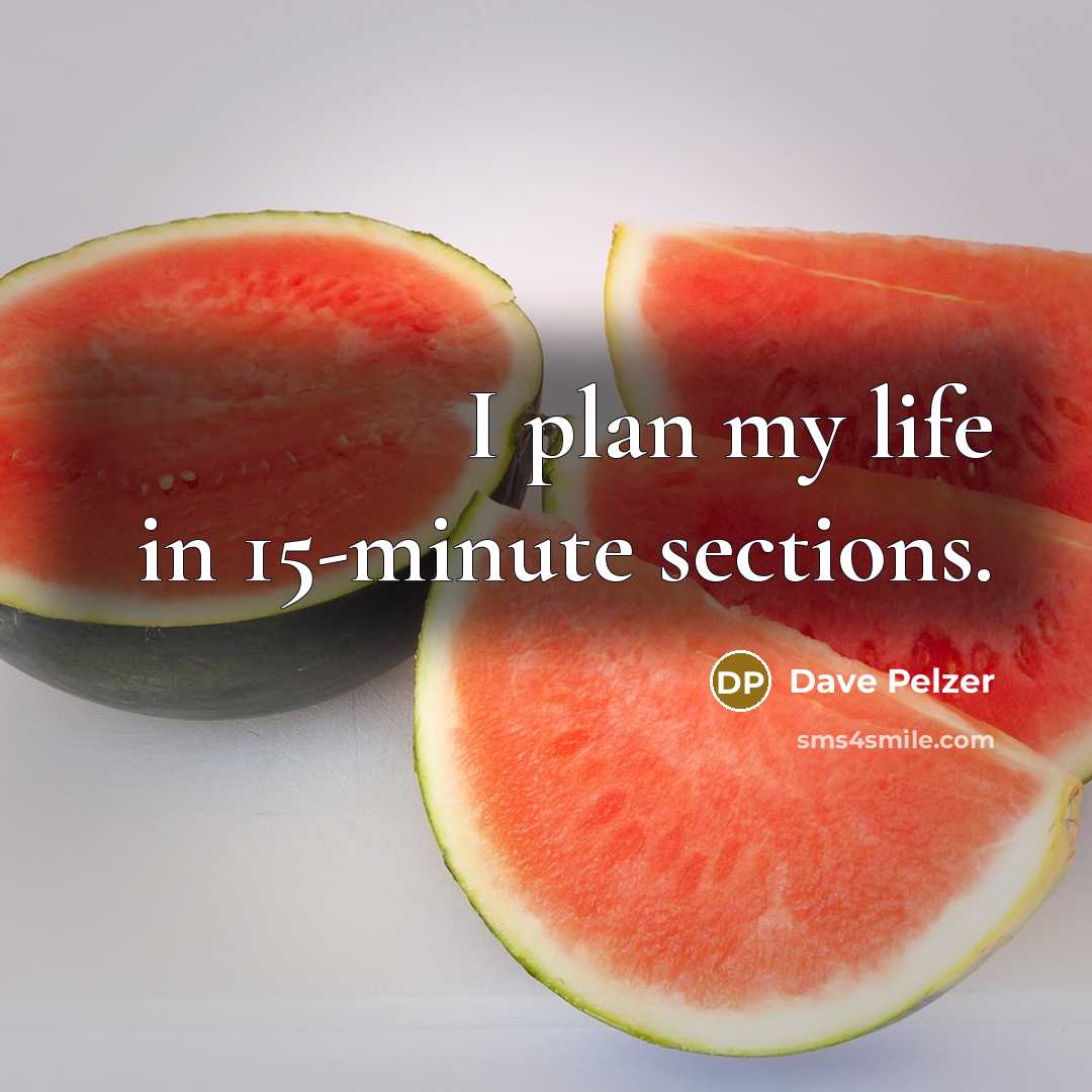 “I plan my life in 15-minute sections.…” quote by Dave Pelzer