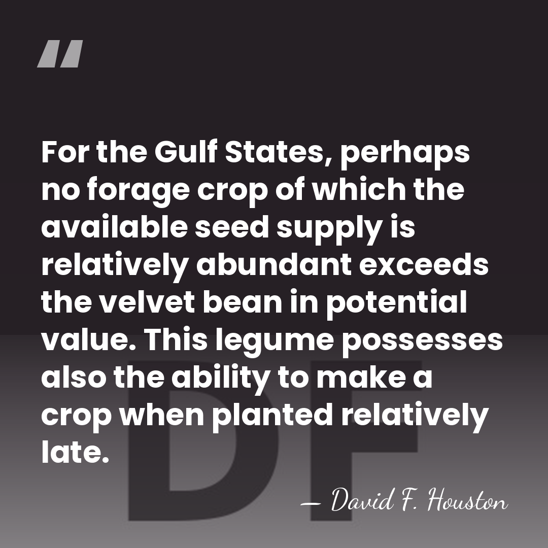 For the Gulf States, perhaps no forage crop of which the available&hellip; - David F. Houston