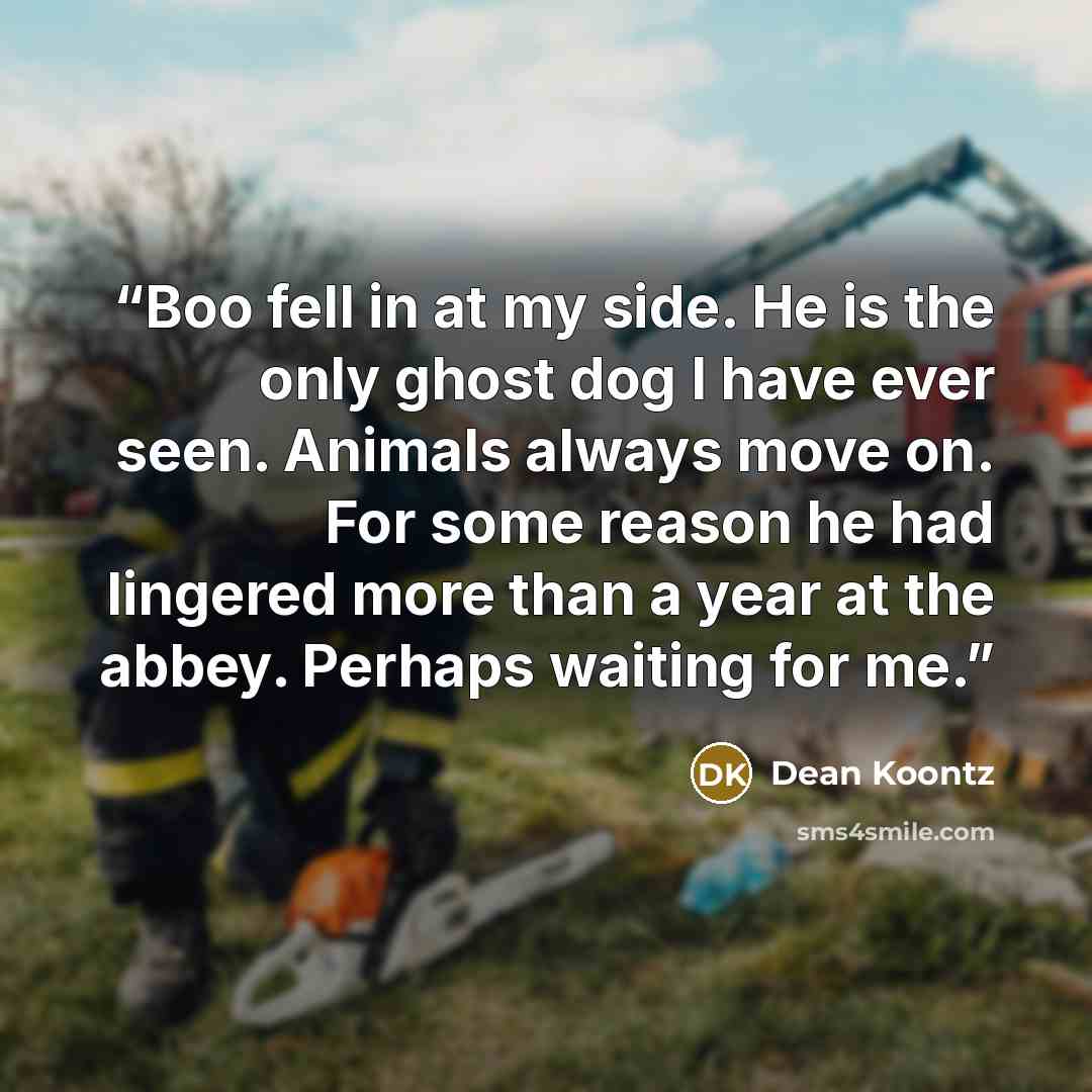 “Boo fell in at my side. He is the only ghost dog I have ever seen. Animals always move on. For some reason he had lingered more than a year at the abbey. Perhaps waiting for me.” quote by Dean Koontz