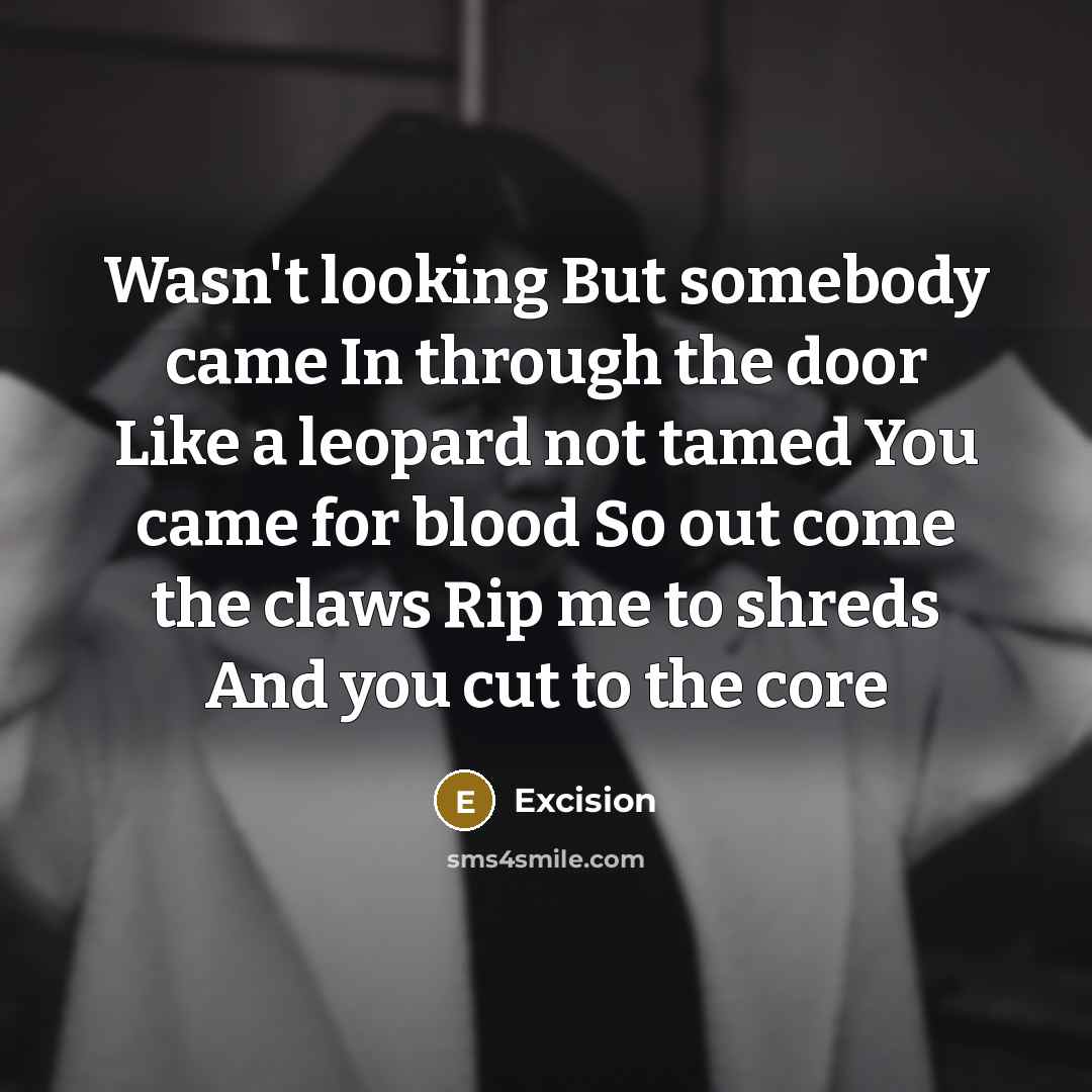 “Wasn't looking But somebody came In through the door Like…” quote by Excision
