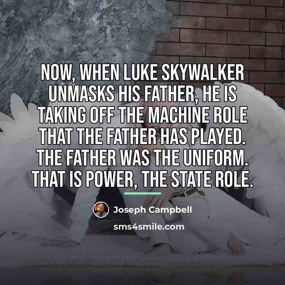 “Now, when Luke Skywalker unmasks his father, he is taking…” quote by Joseph Campbell