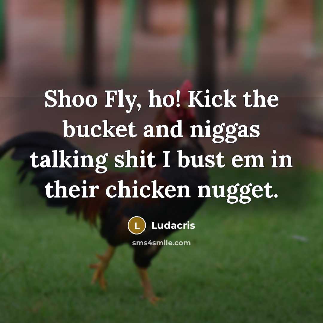 “Shoo Fly, ho! Kick the bucket and niggas talking shit…” quote by Ludacris
