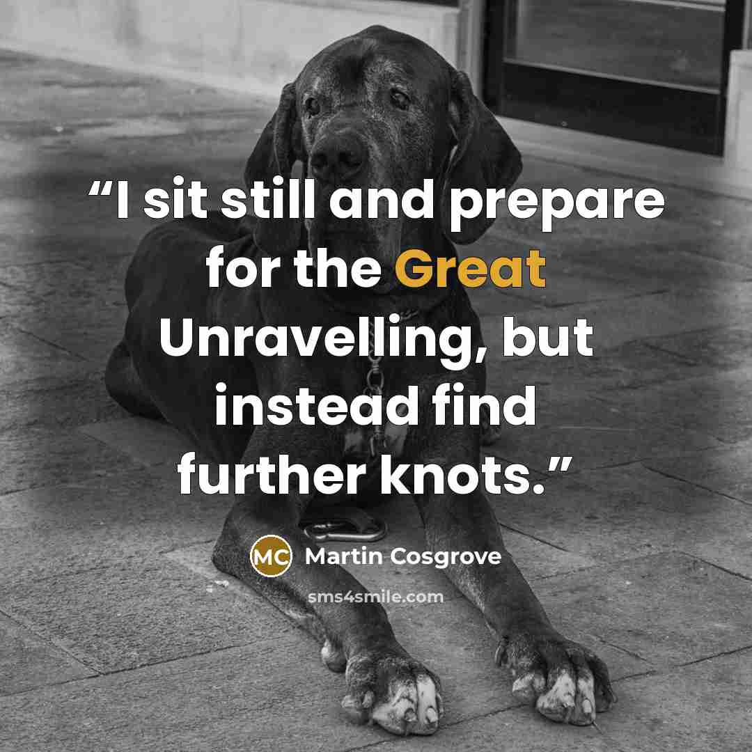 “I sit still and prepare for the Great Unravelling, but instead find further knots.” quote by Martin Cosgrove