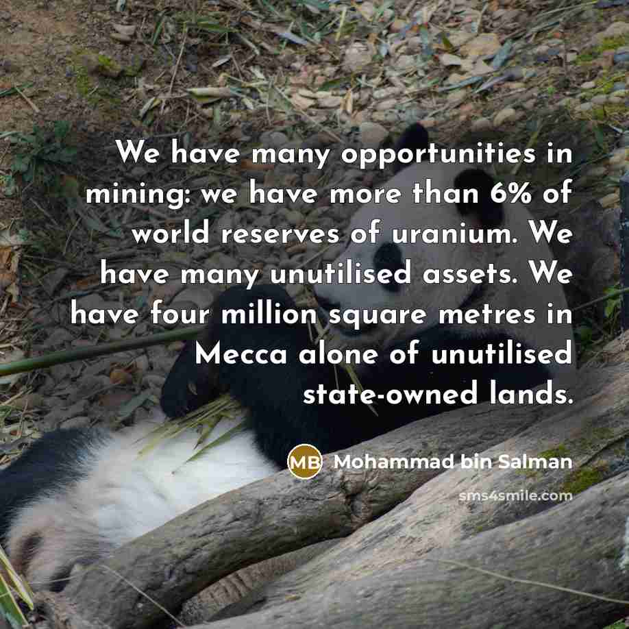 “We have many opportunities in mining: we have more than…” quote by Mohammad bin Salman