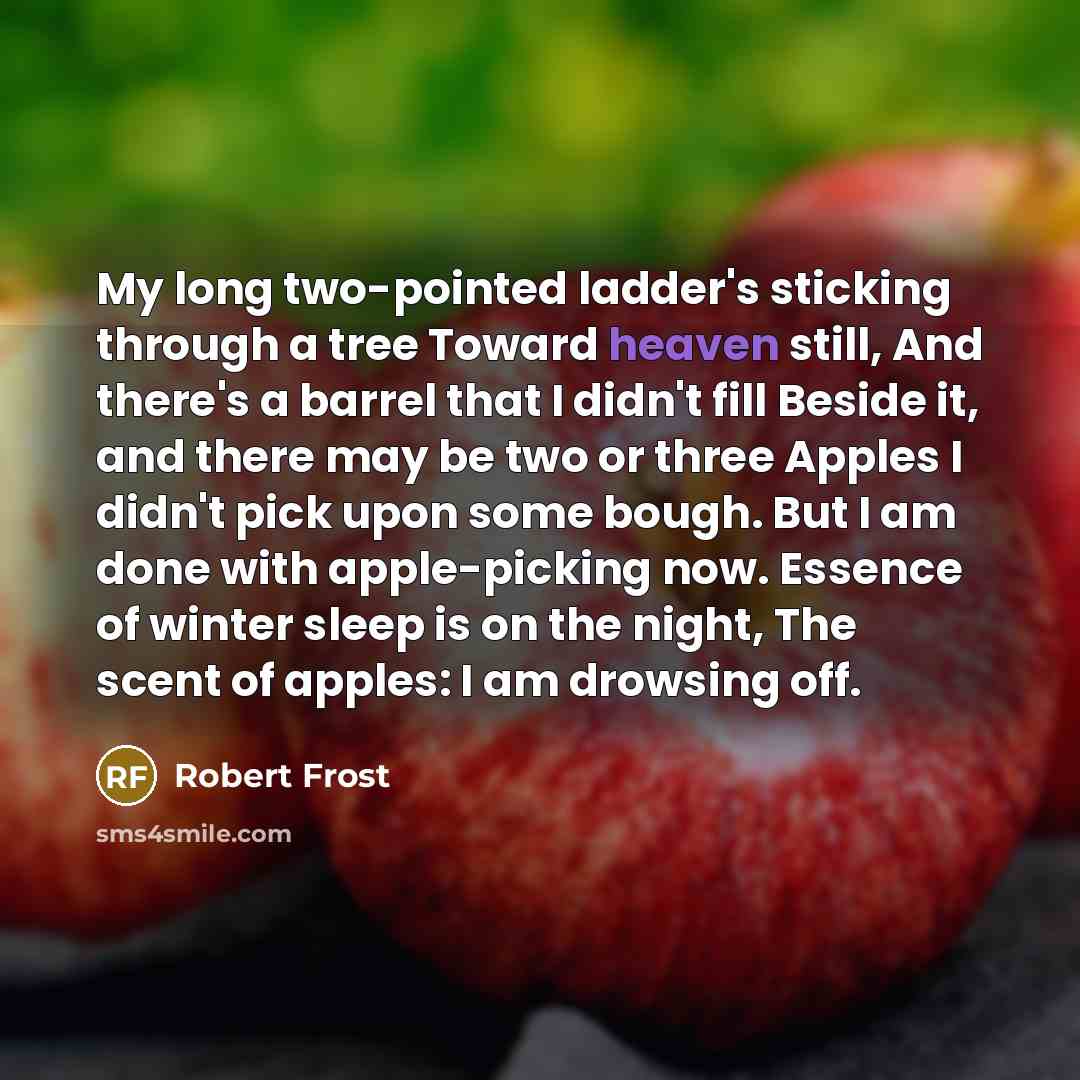 “My long two-pointed ladder's sticking through a tree Toward heaven…” quote by Robert Frost
