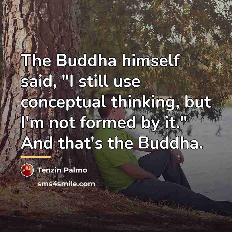 “The Buddha himself said, "I still use conceptual thinking, but…” quote by Tenzin Palmo