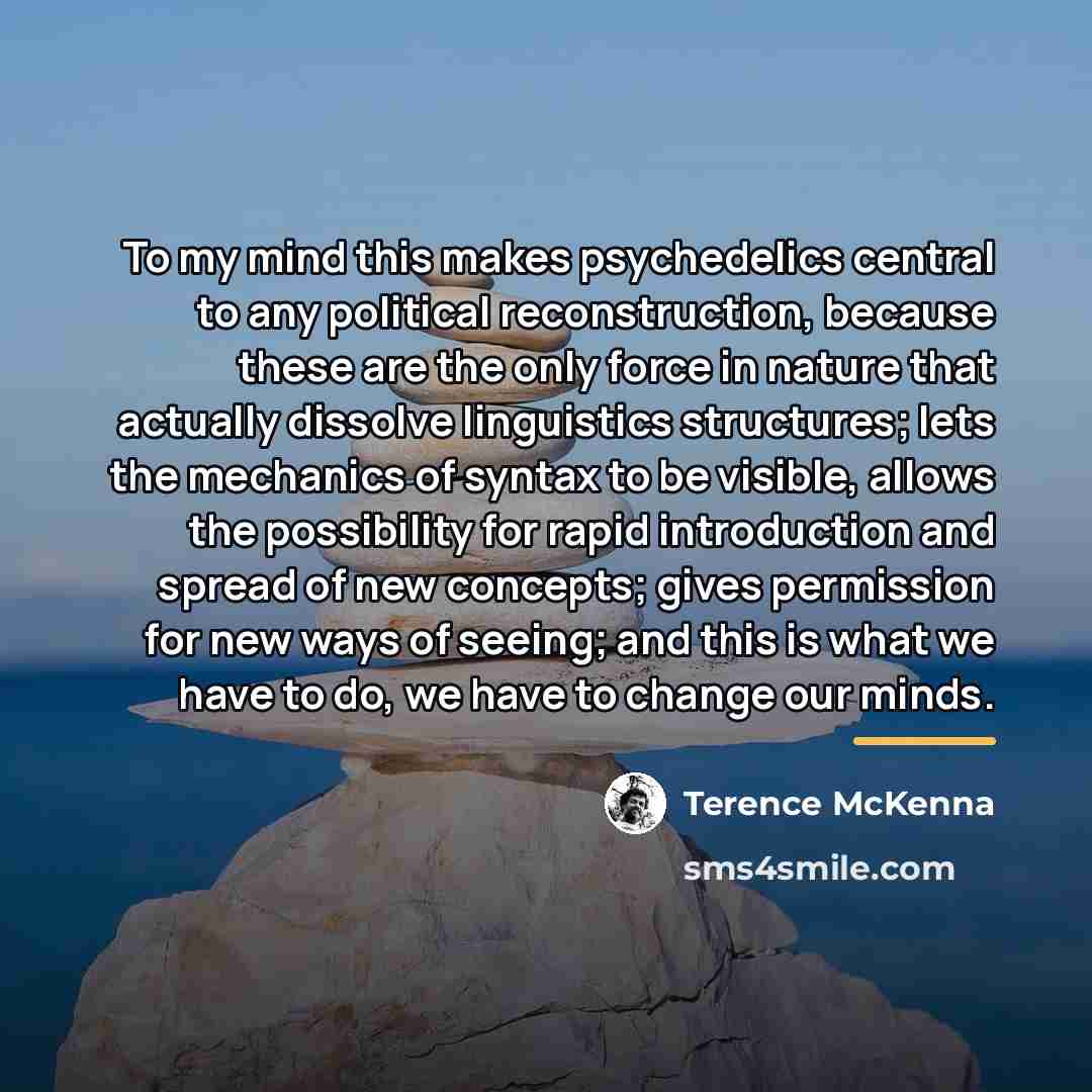 “To my mind this makes psychedelics central to any political…” quote by Terence McKenna