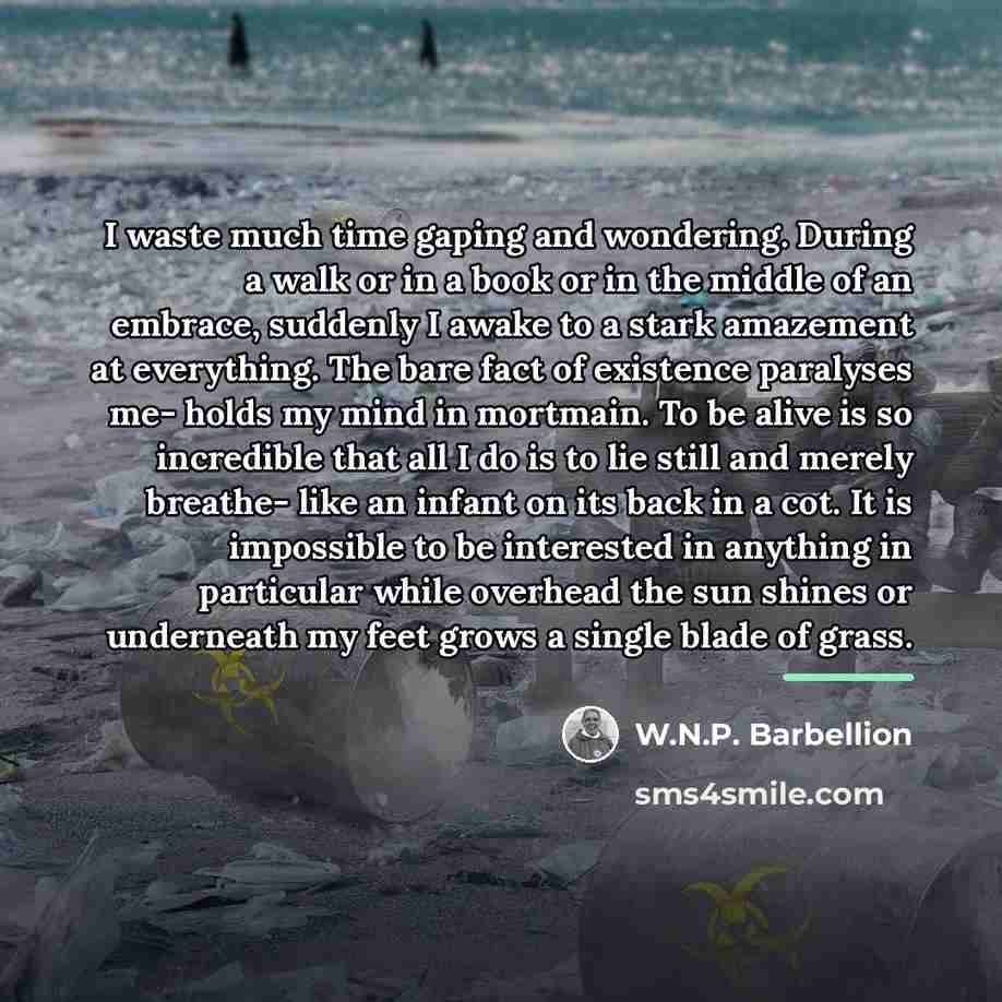 “I waste much time gaping and wondering. During a walk…” quote by W.N.P. Barbellion