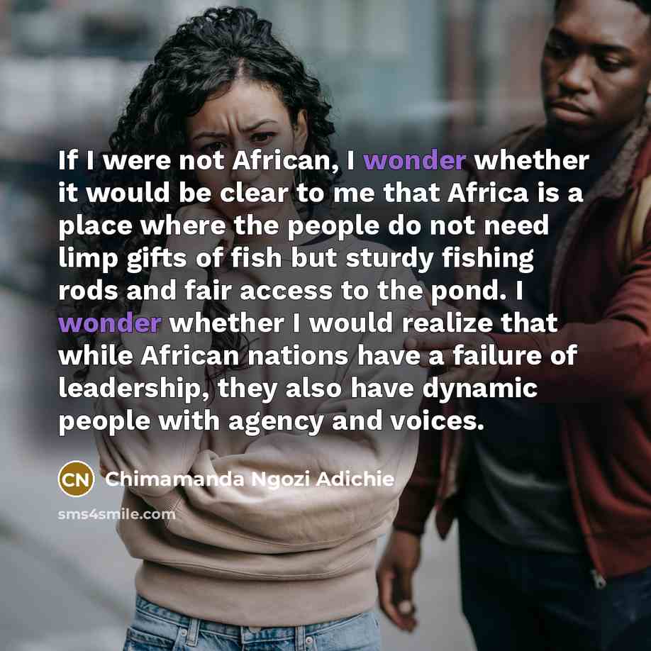 “If I were not African, I wonder whether it would…” quote by Chimamanda Ngozi Adichie