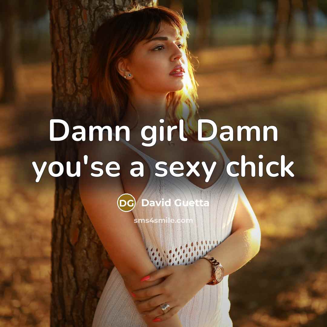 “Damn girl Damn you'se a sexy chick…” quote by David Guetta
