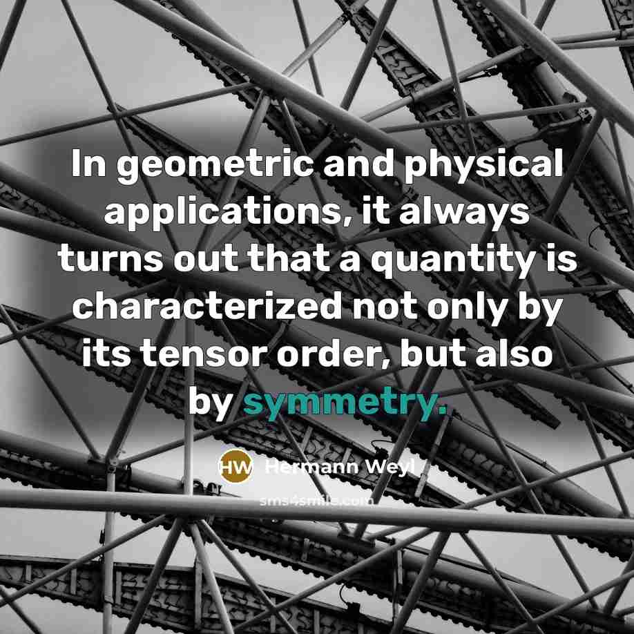 “In geometric and physical applications, it always turns out that…” quote by Hermann Weyl