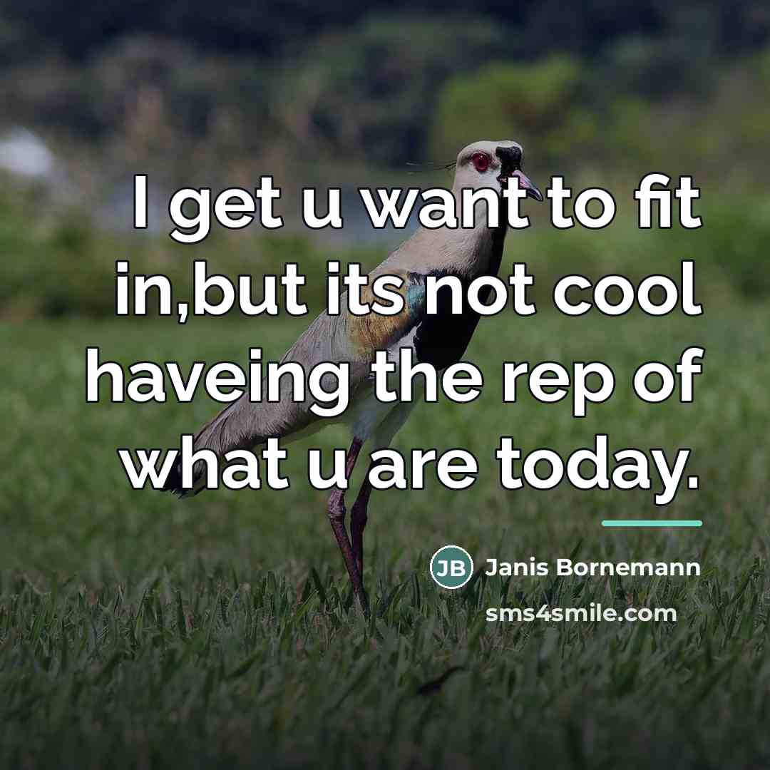 “I get u want to fit in,but its not cool…” quote by Janis Bornemann