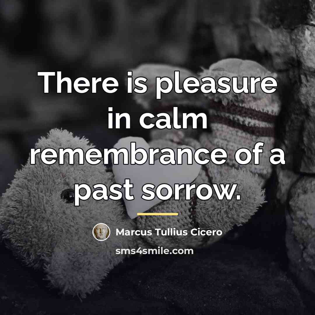 “There is pleasure in calm remembrance of a past sorrow.…” quote by Marcus Tullius Cicero