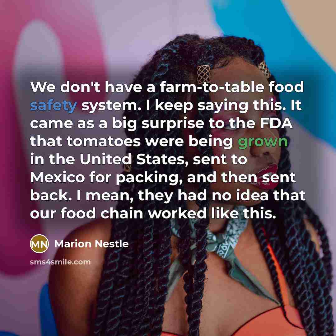 “We don't have a farm-to-table food safety system. I keep saying this. It came as a big surprise to the FDA that tomatoes were being grown in the United States, sent to Mexico for packing, and then sent back. I mean, they had no idea that our food chain worked like this.” quote by Marion Nestle