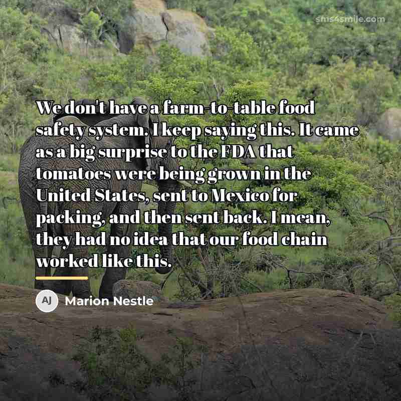 “We don't have a farm-to-table food safety system. I keep…” quote by Marion Nestle
