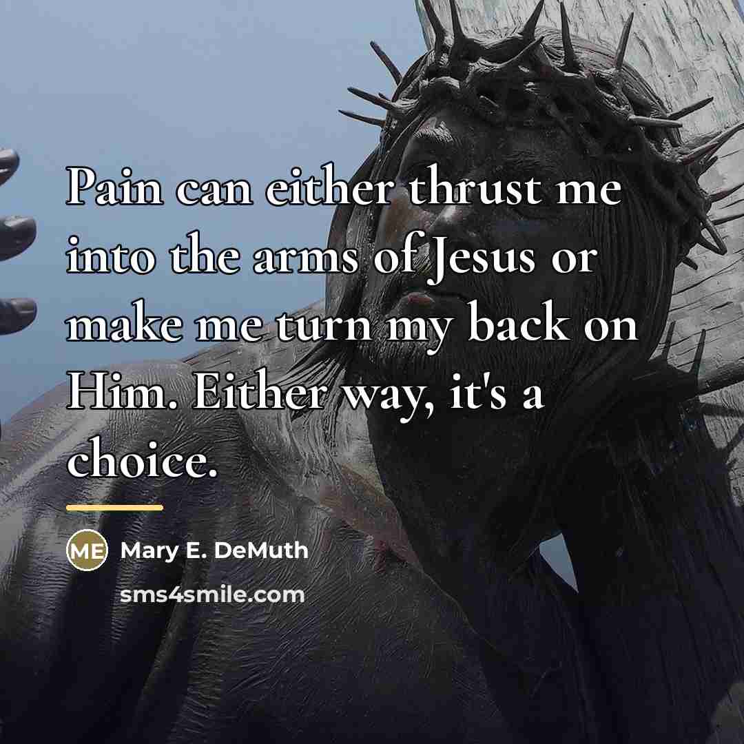 “Pain can either thrust me into the arms of Jesus…” quote by Mary E. DeMuth