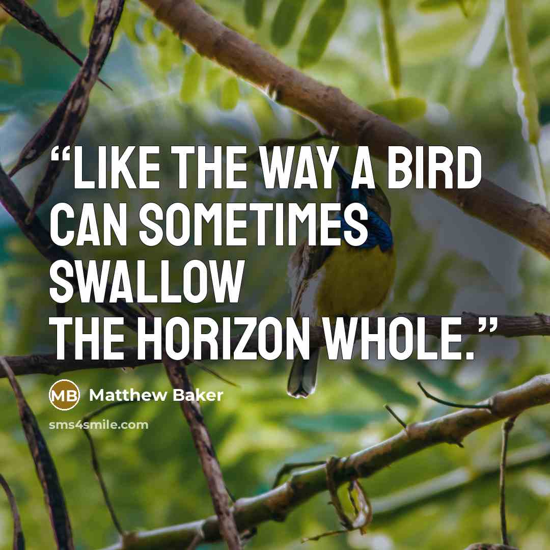 “like the way a bird can sometimes swallow the horizon whole.” quote by Matthew Baker