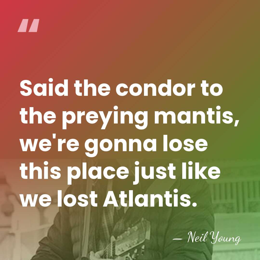 Said the condor to the preying mantis, we're gonna lose this place&hellip; - Neil Young
