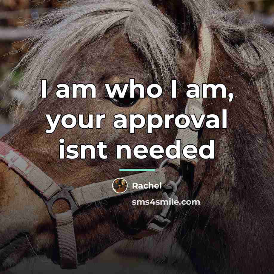 “I am who I am, your approval isnt needed…” quote by Rachel