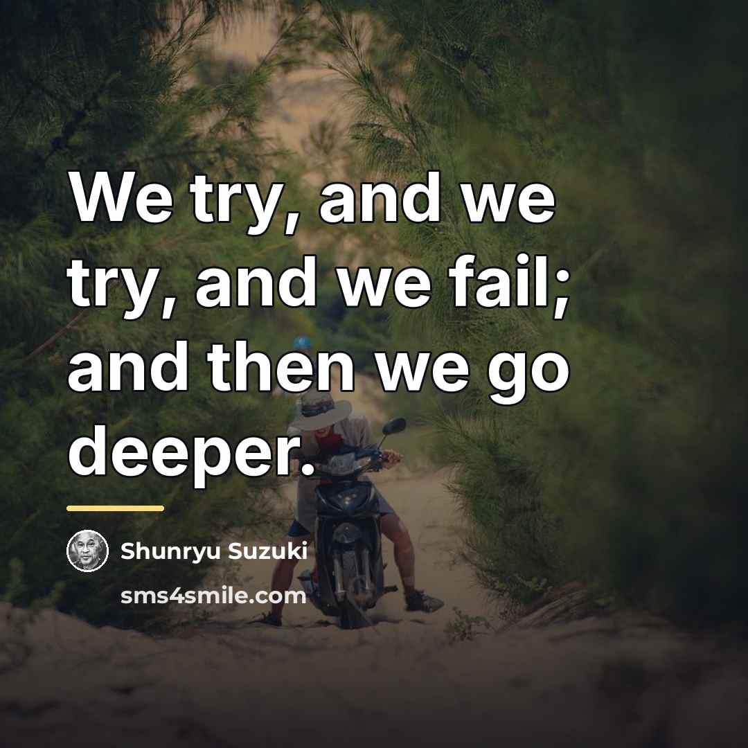 “We try, and we try, and we fail; and then…” quote by Shunryu Suzuki