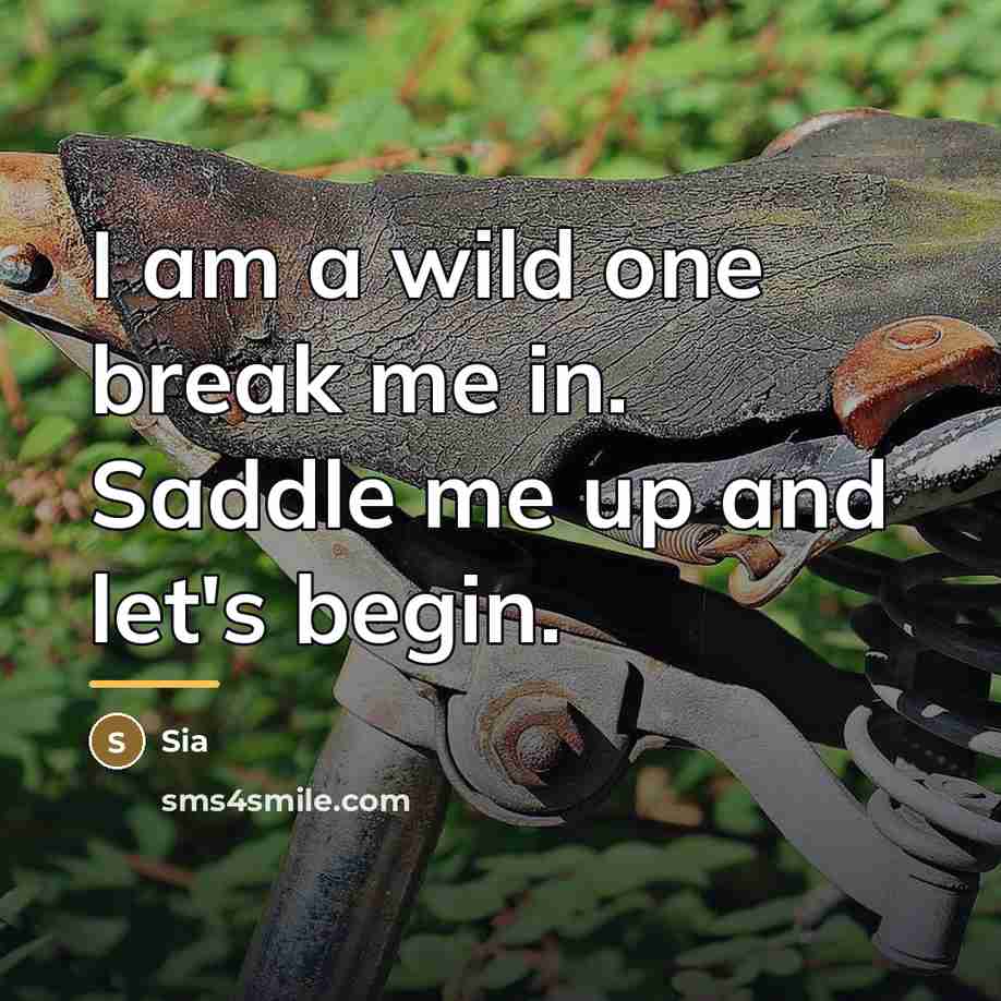 “I am a wild one break me in. Saddle me…” quote by Sia