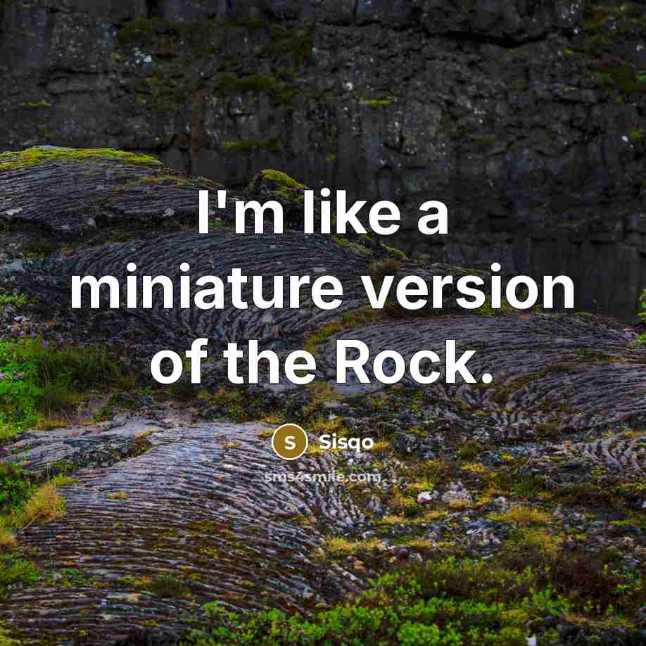 “I'm like a miniature version of the Rock.…” quote by Sisqo