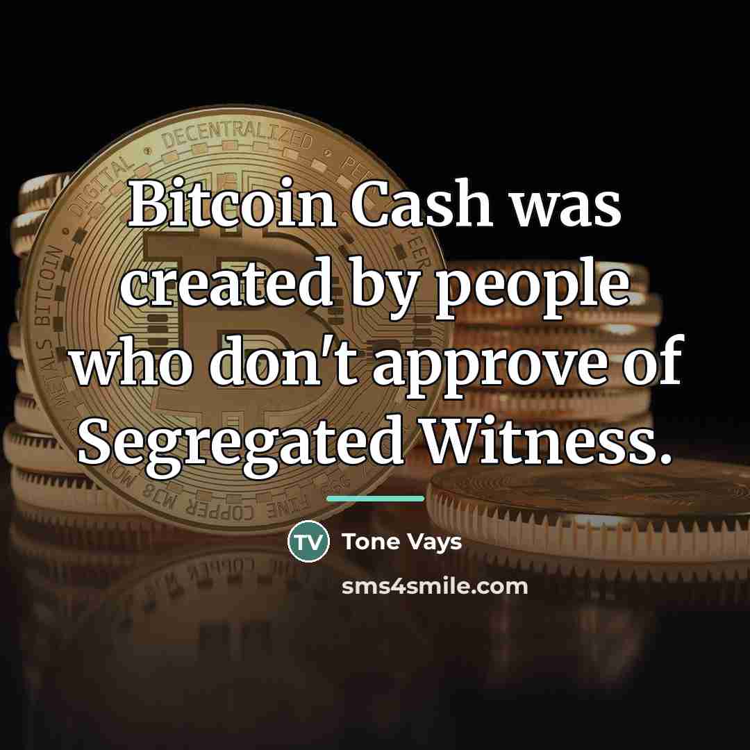 “Bitcoin Cash was created by people who don't approve of…” quote by Tone Vays