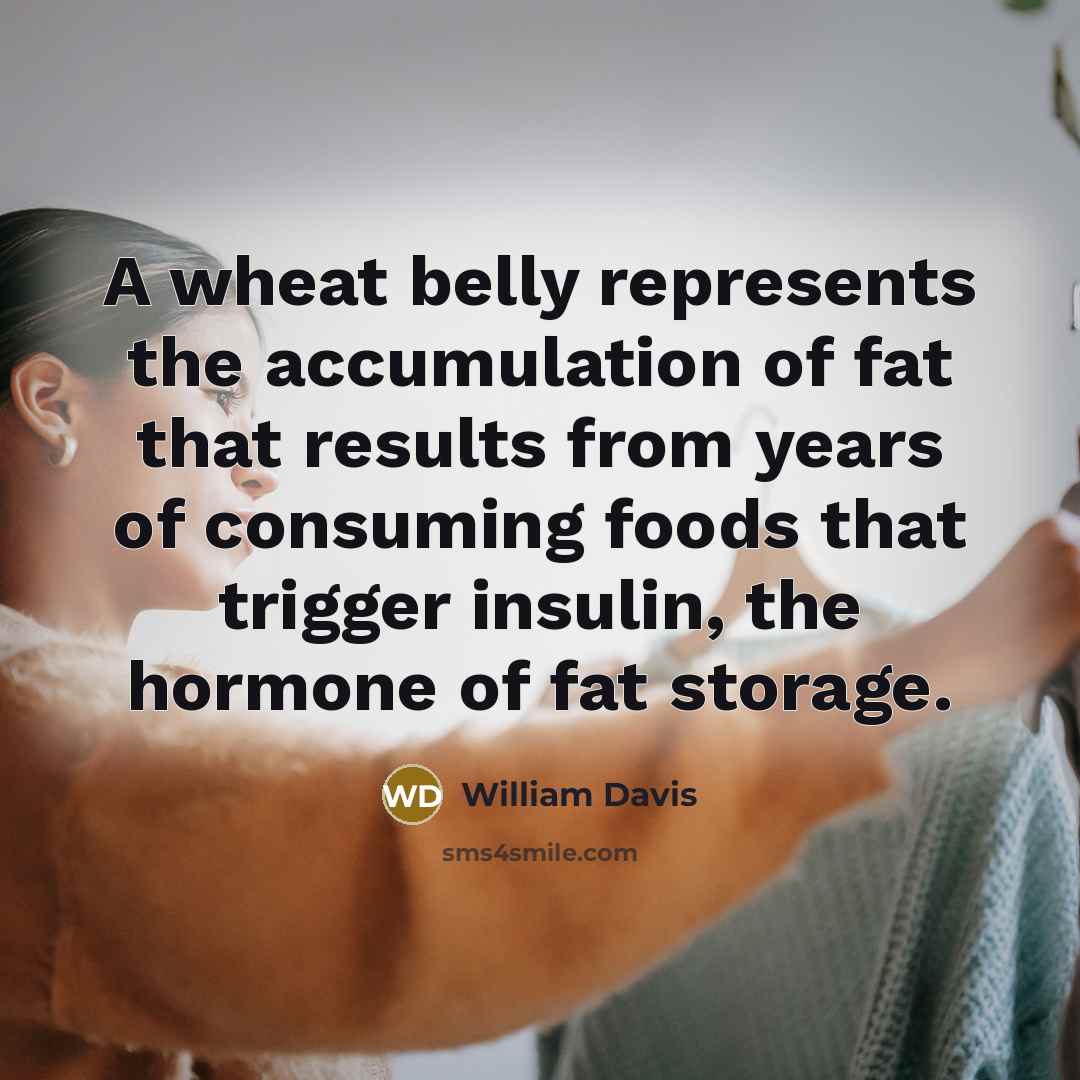 “A wheat belly represents the accumulation of fat that results…” quote by William Davis