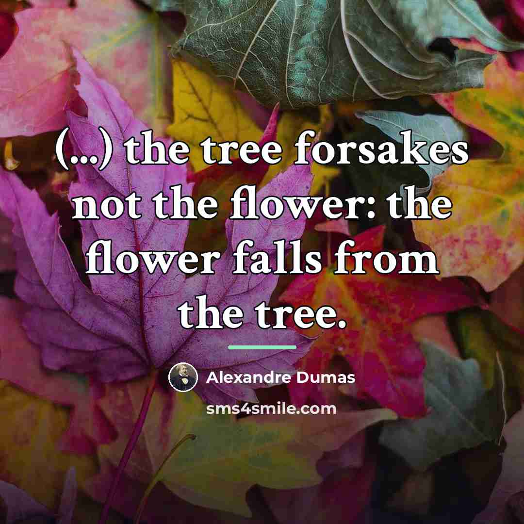 “(...) the tree forsakes not the flower: the flower falls…” quote by Alexandre Dumas
