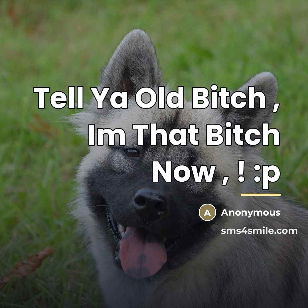 “Tell Ya Old Bitch , Im That Bitch Now ,…” quote by Anonymous