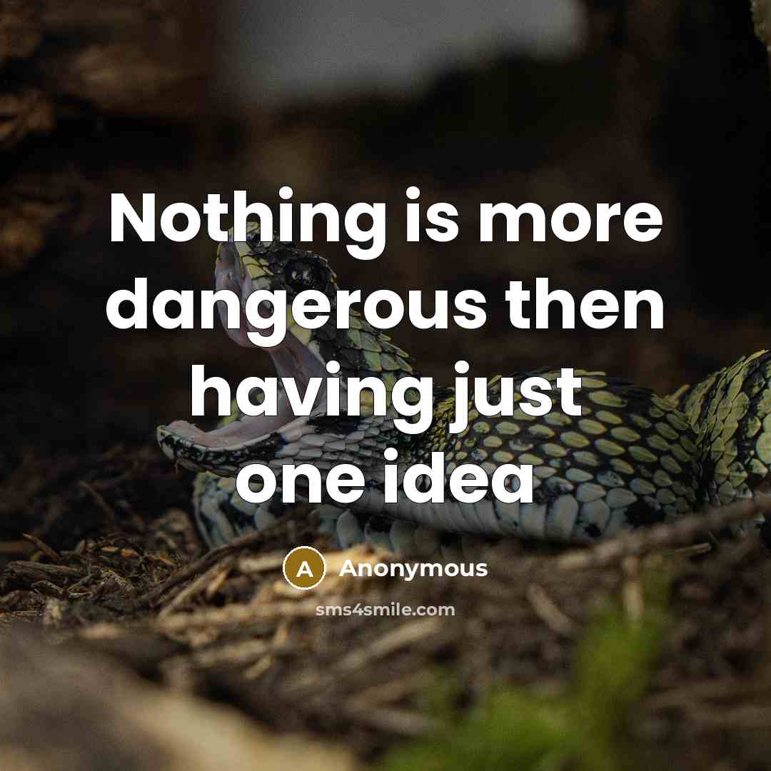 “Nothing is more dangerous then having just one idea” quote by Anonymous