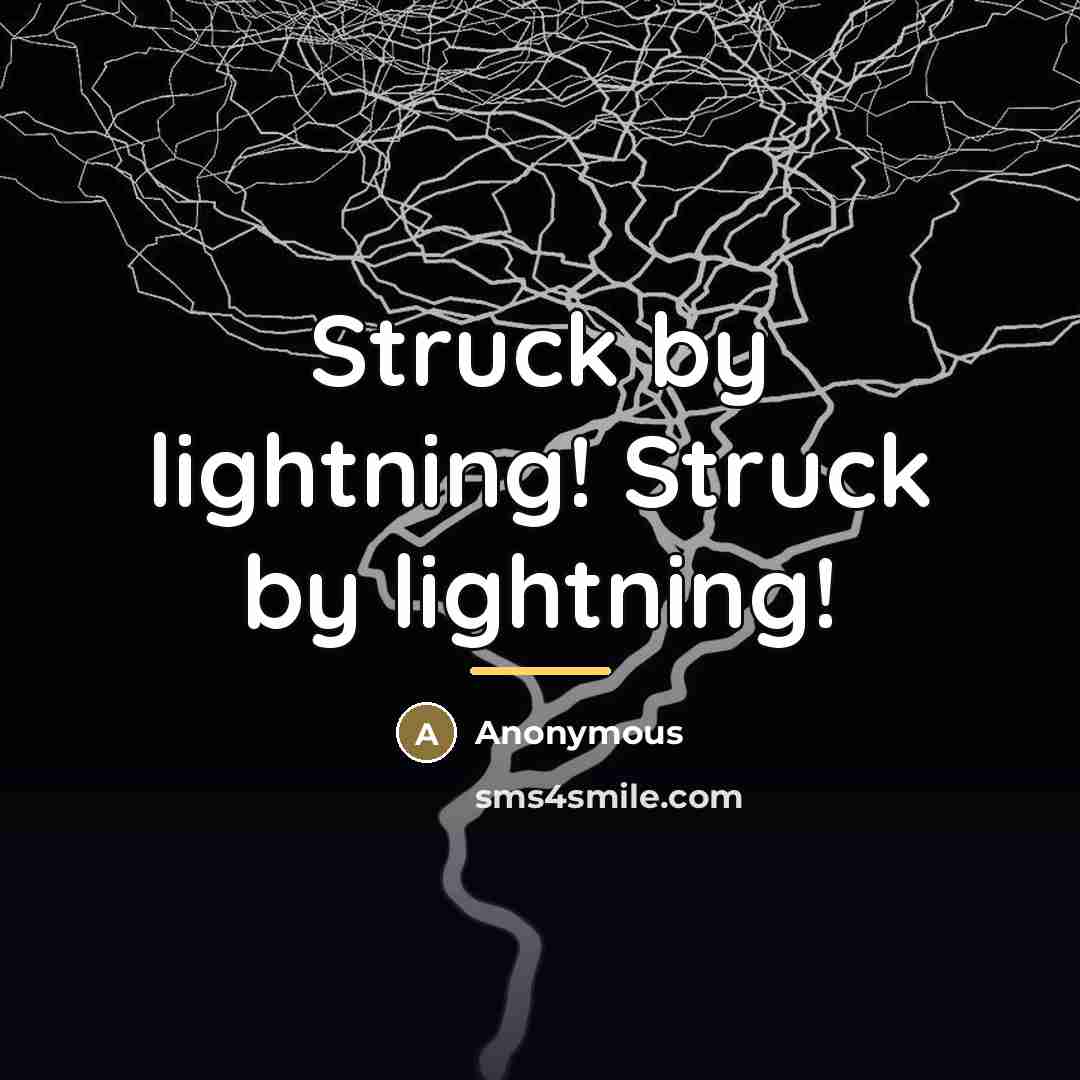 “Struck by lightning! Struck by lightning!…” quote by Anonymous
