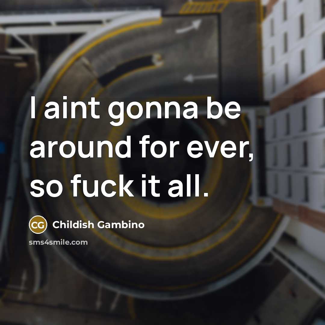 “I aint gonna be around for ever, so fuck it all.” quote by Childish Gambino