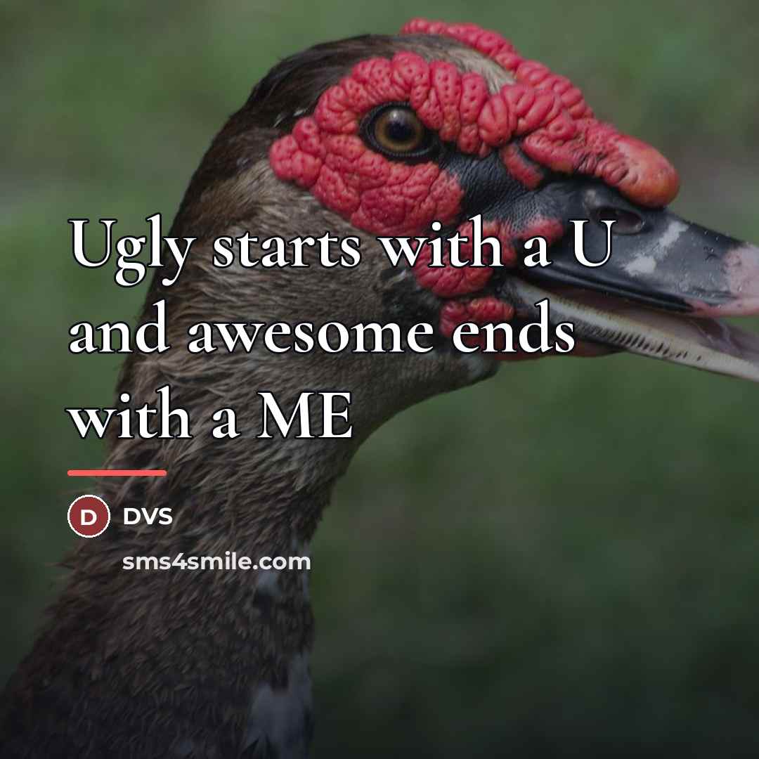 “Ugly starts with a U and awesome ends with a…” quote by DVS