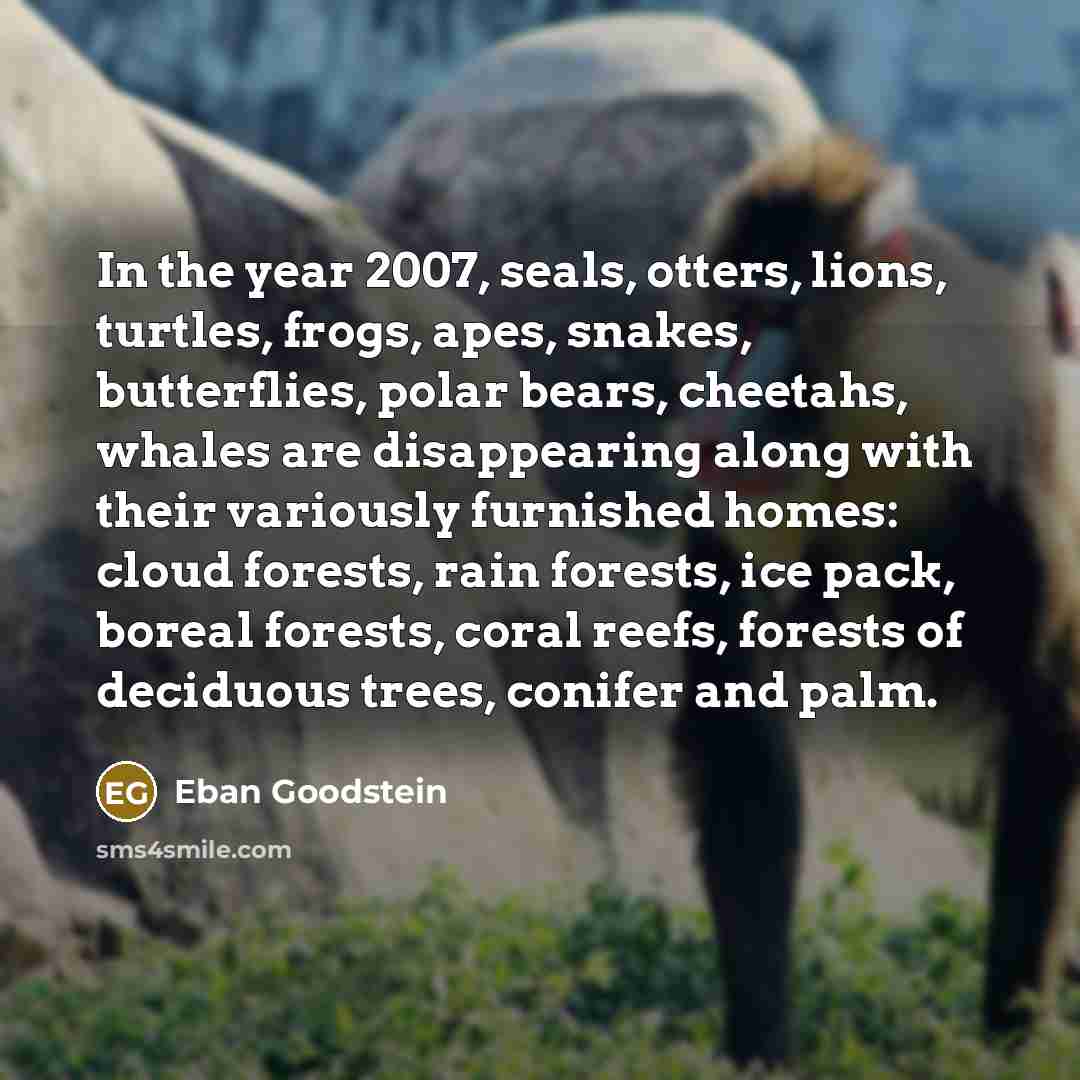 “In the year 2007, seals, otters, lions, turtles, frogs, apes,…” quote by Eban Goodstein