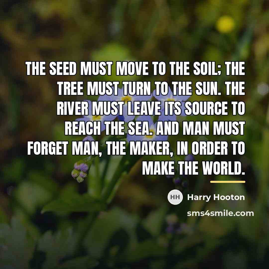 “The seed must move to the soil; the tree must…” quote by Harry Hooton