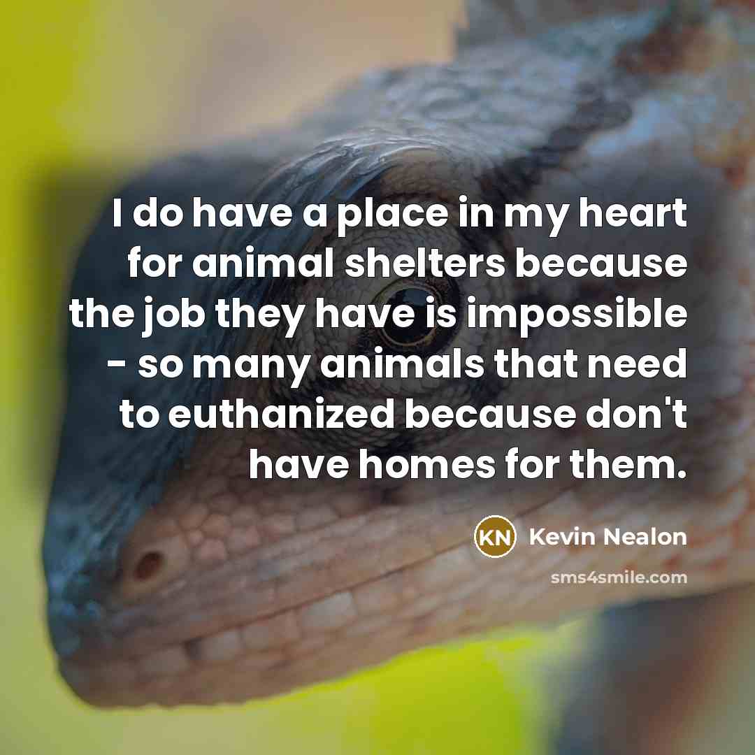 “I do have a place in my heart for animal…” quote by Kevin Nealon