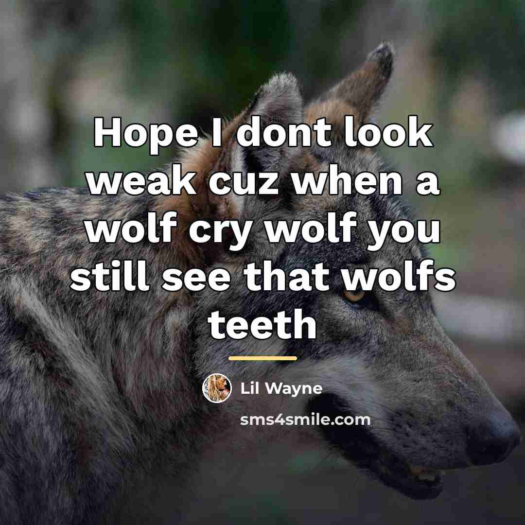“Hope I dont look weak cuz when a wolf cry…” quote by Lil Wayne