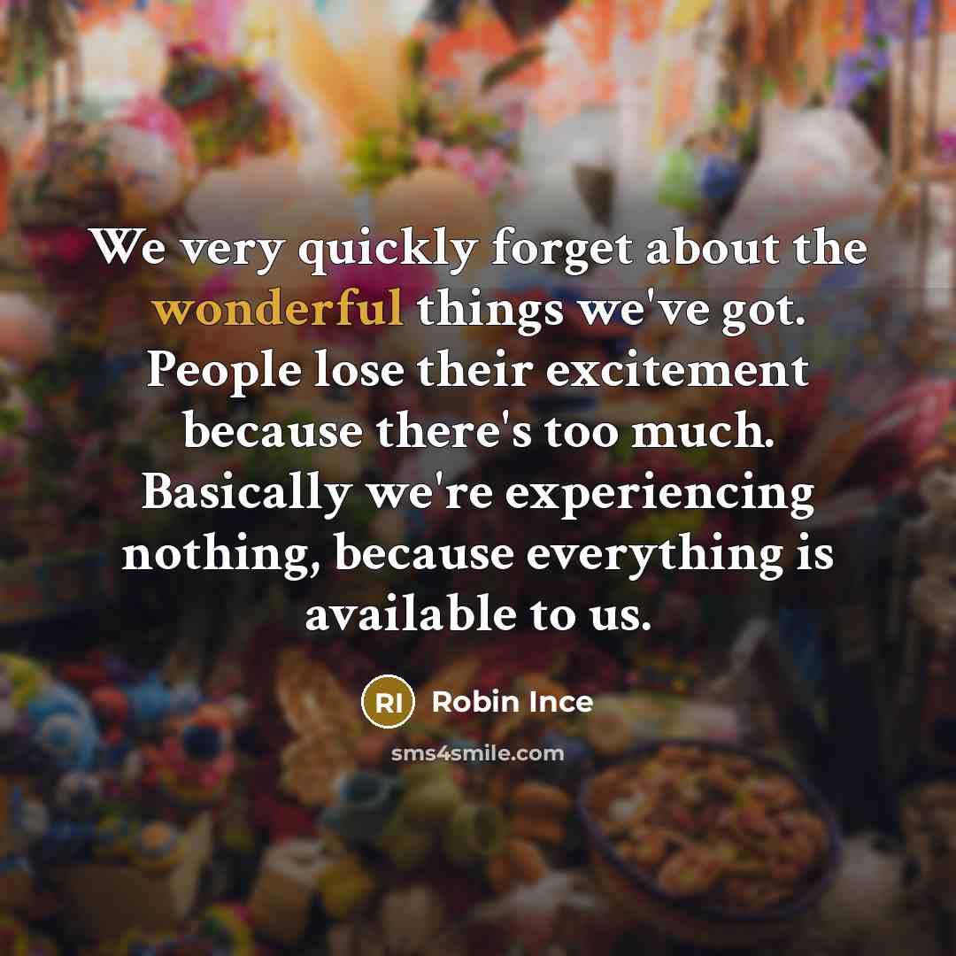 “We very quickly forget about the wonderful things we've got.…” quote by Robin Ince