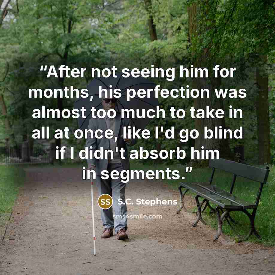 “After not seeing him for months, his perfection was almost too much to take in all at once, like I'd go blind if I didn't absorb him in segments.” quote by S.C. Stephens