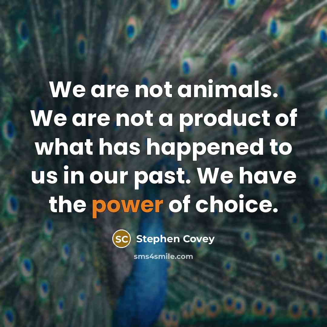 “We are not animals. We are not a product of…” quote by Stephen Covey