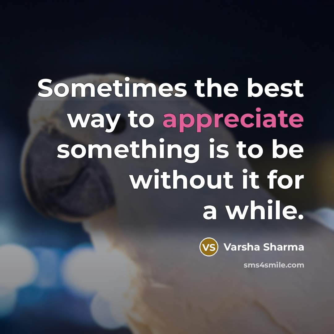 “Sometimes the best way to appreciate something is to be…” quote by Varsha Sharma