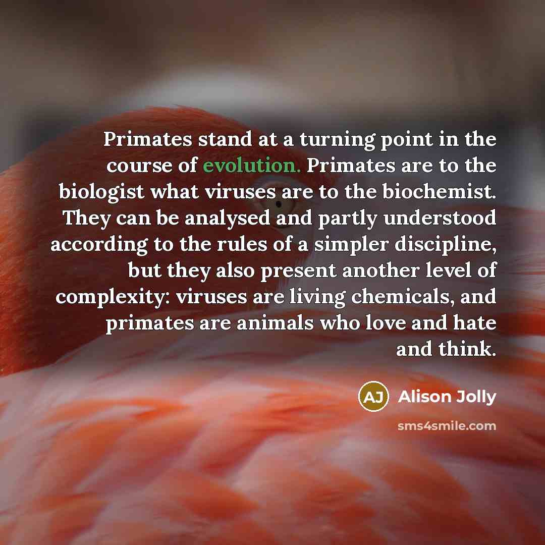 “Primates stand at a turning point in the course of…” quote by Alison Jolly