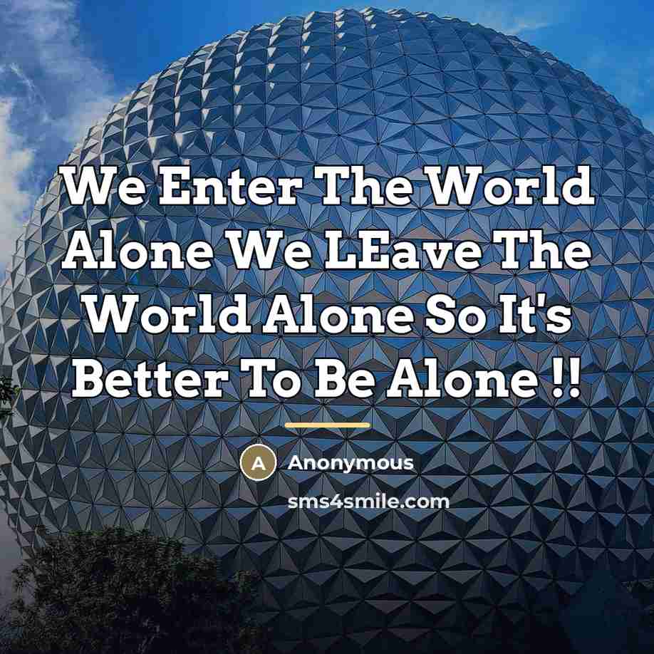 “We Enter The World Alone We LEave The World Alone…” quote by Anonymous