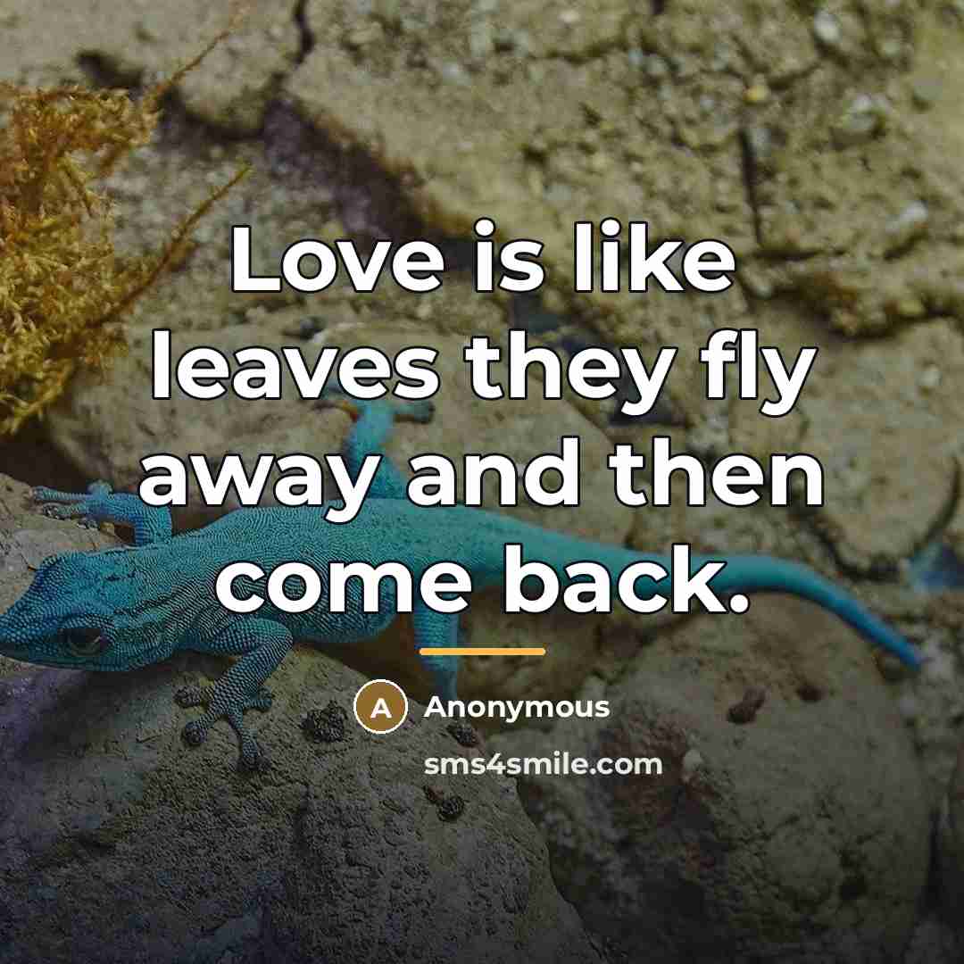 “Love is like leaves they fly away and then come…” quote by Anonymous